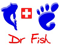 Franquicia Dr. Fish