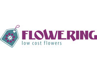 Franquicia Flowering Franquicia Flowering