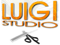 Franquicia Luigi Studio