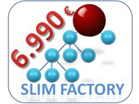 Franquicia Slim Factory