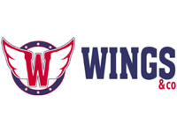 Franquicia Wings & co