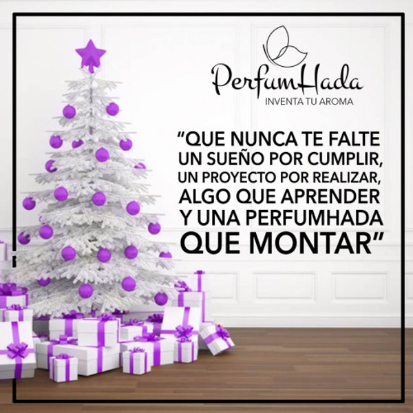 Regálate tu propio negocio : Navidades Perfumhada