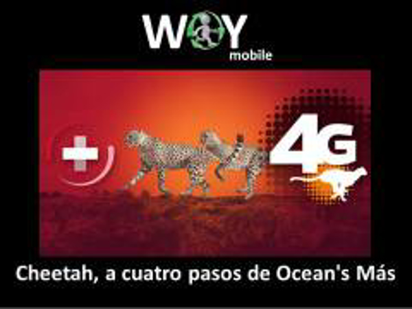 WOY MOBILE lanza Cheetah, a cuatro pasos de Ocean's Más