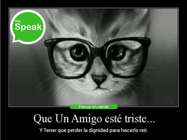 VOY SPEAK informa.