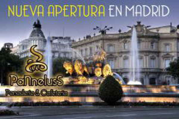 Panneluss cierra un mes de febrero espectacular con 2 nuevas firmas