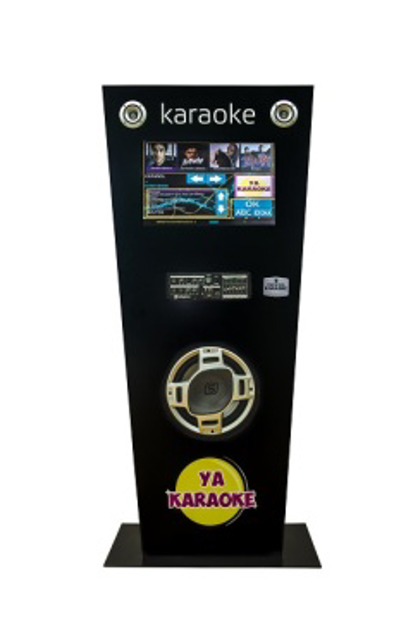 Autoempleo con Karaoke para eventos y Bodas