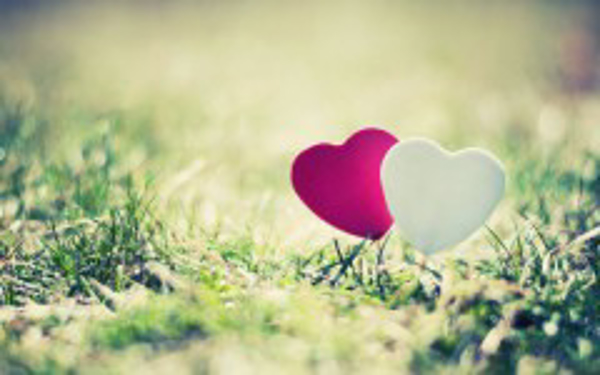 Amor ideal Gayles..Uniendo destinos