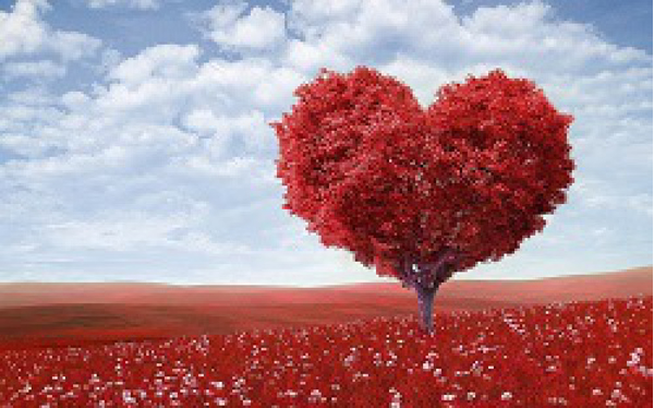 ¡Tener una franquicia Amor Ideal es facil y rentable!