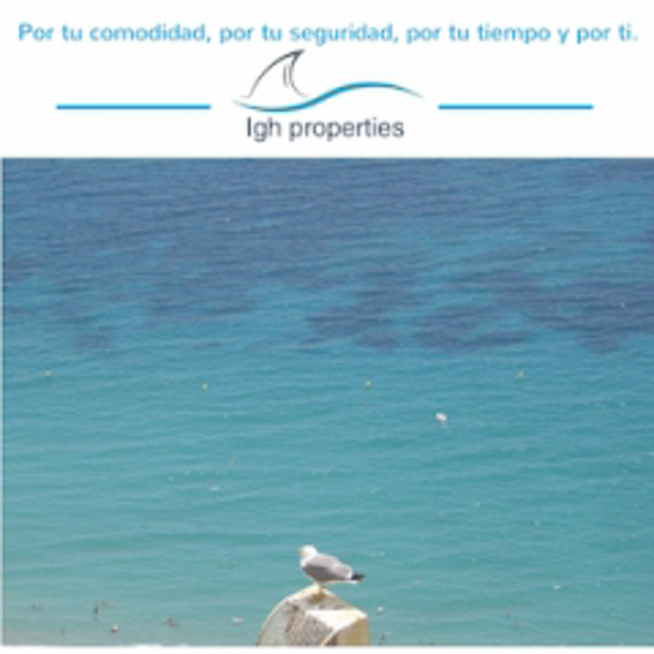 Igh Properties: Agentes Colaboradores en Red