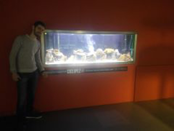 Ciclipez patrocina un acuario en el museo de ciencia de San Sebastian