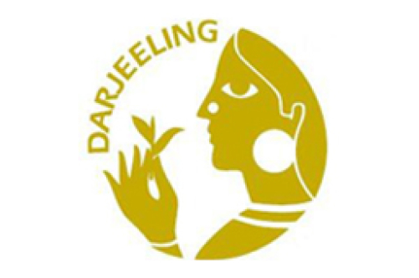 Darjeeling, primera cosecha del año