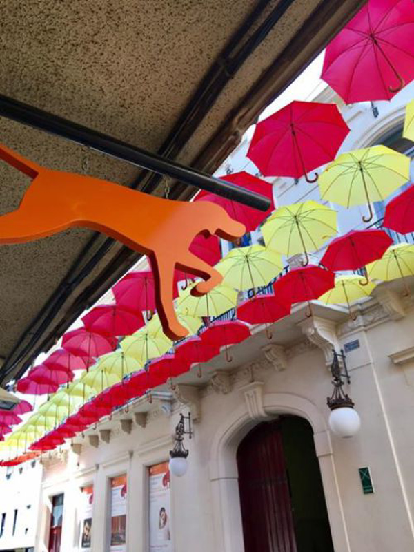 San Sebastián; Nueva Delegación InmoHappy.