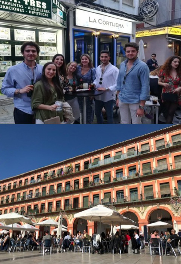 GRAN salida al mercado de la franquicia LA CORTIJERA