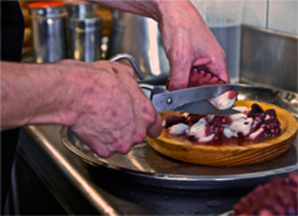 Vilalúa, primera franquicia de pulpería gallega