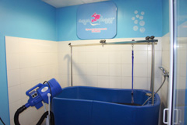 Mima a tu mascota en la franquicia Aqua Doggy