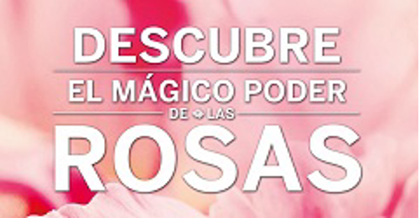 Franquicia Refan: Descubre el mágico poder de las Rosas