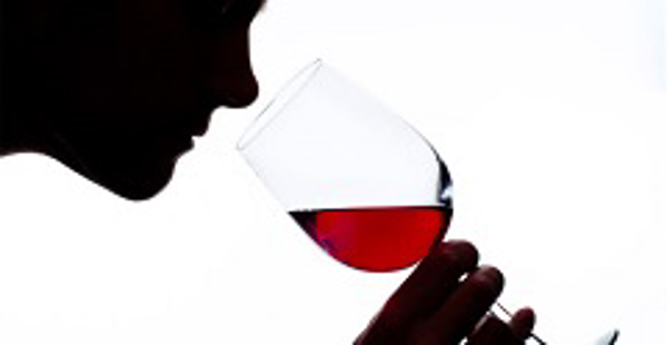 La franquicia Lugar del Vino: La Traición de Tus Sentidos. Juego y Resultados