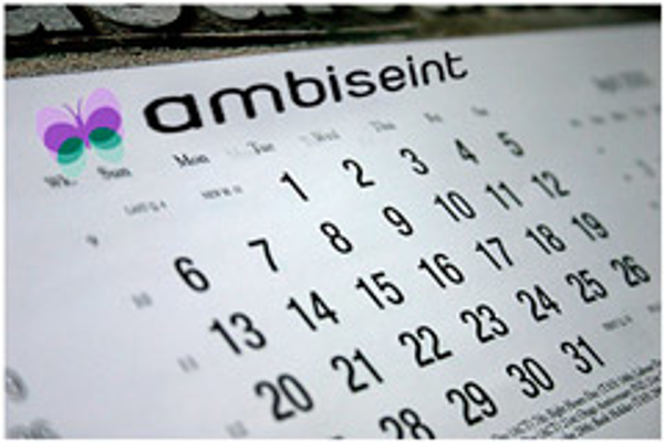 La red de franquicias Ambiseint realiza balance del 2015