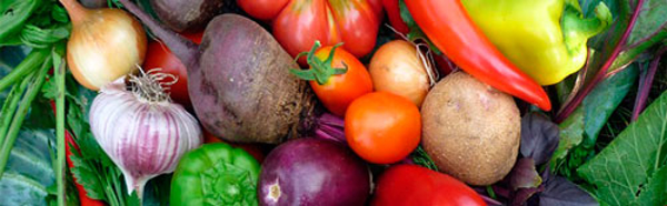 La franquicia Tierra Animal apuesta por productos de horticultura y jardinería