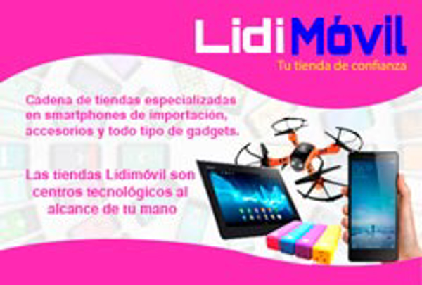 La Franquicia Lidimovil se presenta con un Servicio Técnico rápido y eficaz
