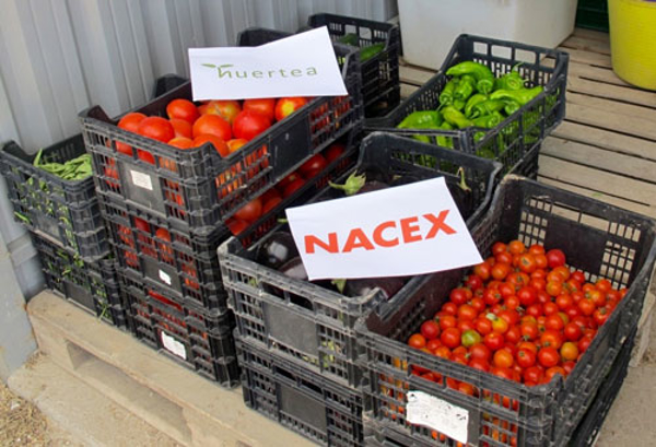 NACEX entregará más de 300kg de verduras ecológicas a comedores sociales