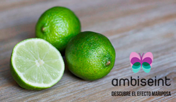 La franquicia Ambiseint te trae historias de aromas que han cambiado multinacionales