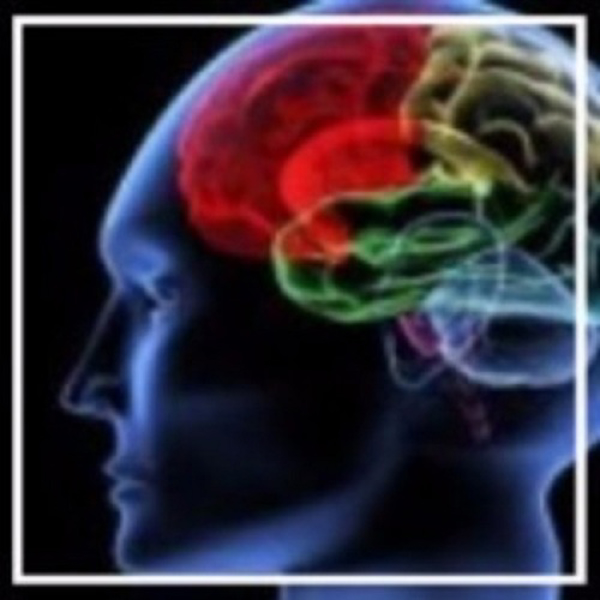 Nascia:  Fórmate con los líderes en Biofeedback y Neurofeedback el 20 y 21 de enero 2017