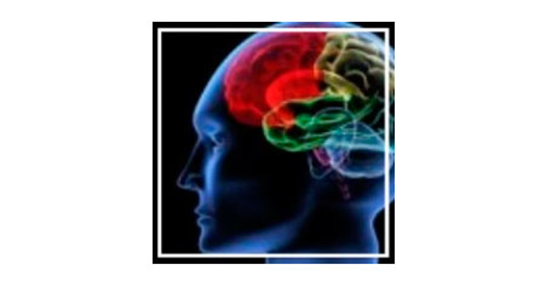 Nuevo curso de Biofeedback y Neurofeedback de las franquicias Nascia