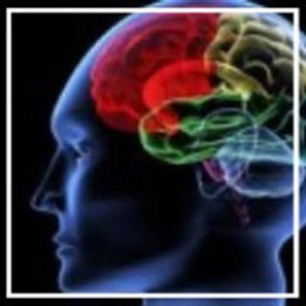 Nuevo curso de formación en Biofeedback y Neurofeedback de las franquicias Nascia