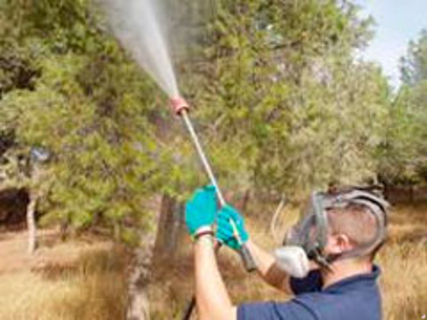 La red de franquicias HIGIA le prepara para ser un experto en Control de Plagas y Consultoría