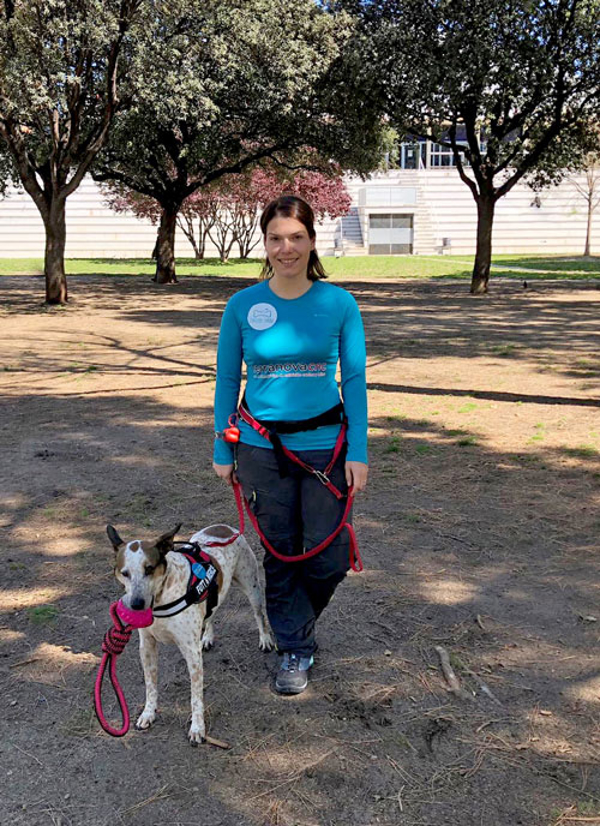 La franquicia TerranovaCNC se une con Turismo Canino en el reto de realizar el Camino de Santiago con perro