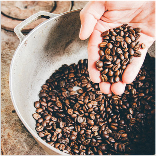 La red de franquicias Santagloria, celebra el Día Mundial del café, presentando su selección de cafés 100%  ecológicos