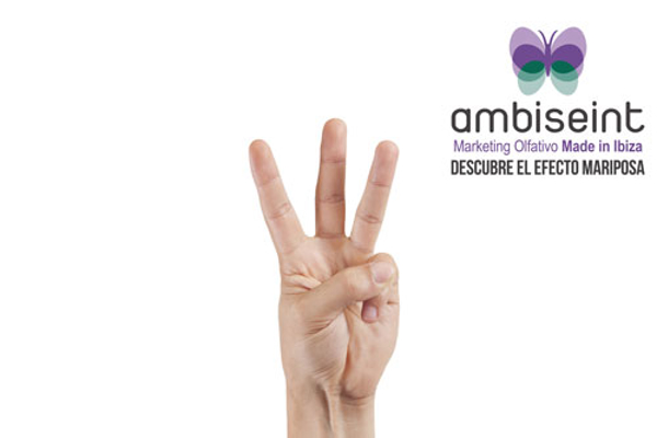Ambiseint finaliza el tercer trimestre del año con la apertura de tres nuevas franquicias