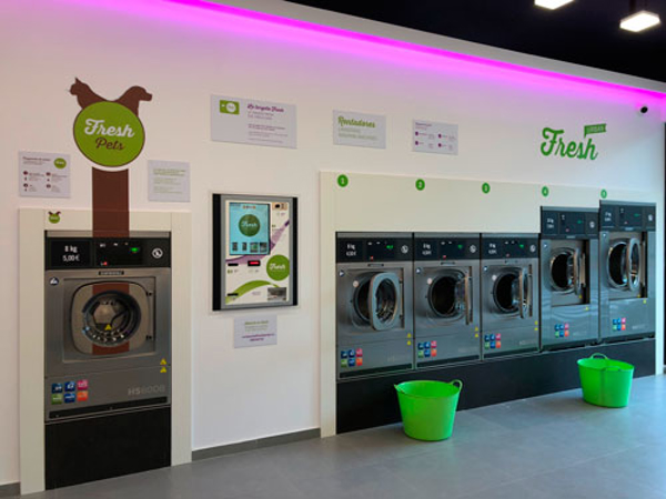 ¿Qué ventajas ofrecen las lavanderías autoservicio frente las lavadoras domésticas? La franquicia Fresh te da las claves