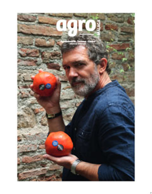 La red de franquicias Agro Periódico Magazine te ofrece un innovador formato periódico