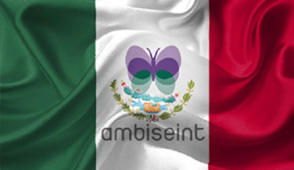Ambiseint avanza su desarrollo de franquicias internacional en México