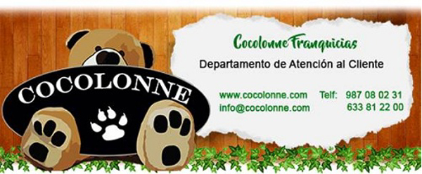 Cocolonne una franquicia única en su sector.