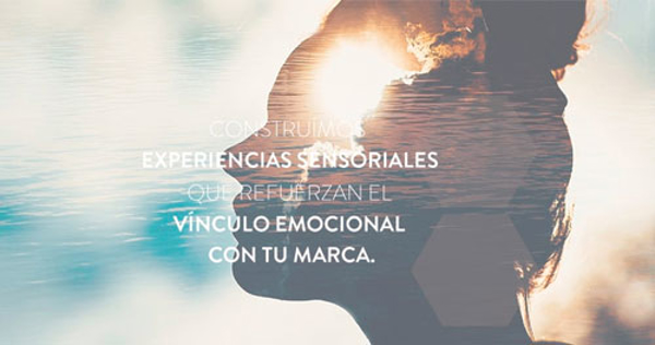 Tras el éxito de The Aroma Trace® en mercado mexicano, la marca expande su red de master franquicias en siete países de Latinoamérica